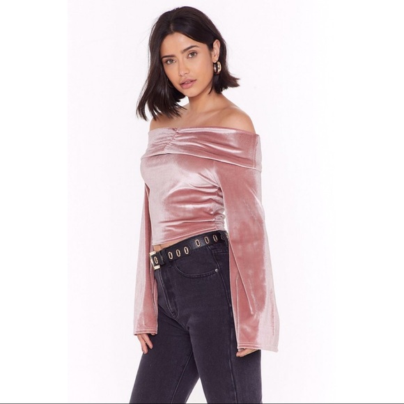 Nasty Gal Velvet Bardot Sleeve Top - Rose (10) - Picture 1 of 7